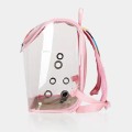 Rainbow Color Foldable Breathable Pet Backpack